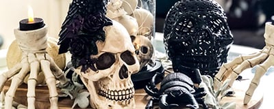 Halloween Skulls