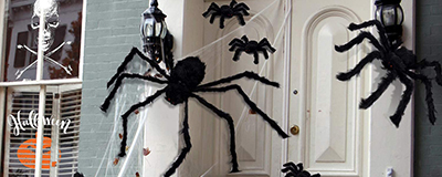 Halloween Spiders