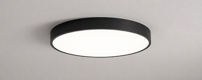 Ceiling Lights