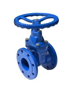 Gate valve DN 80 PN 16 with flange and rubber closures