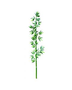 Bamboo stick, Ø0.5 cm, H200 cm, with artificial leaves, plastic material