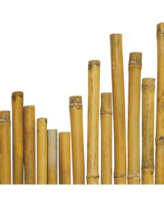 Shkop për kopësht, bambu natyrale ,Ø 2/2.2x240 cm