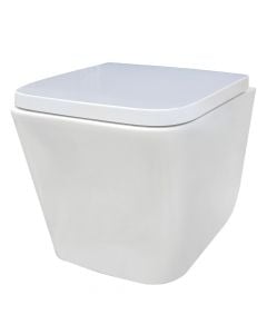Hanging toilet, wall mounting, with cover+screws, 55x38xH47 cm