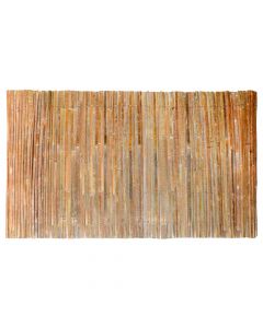 Gardh dekorativ, lekurë bredhi, 100x300 cm