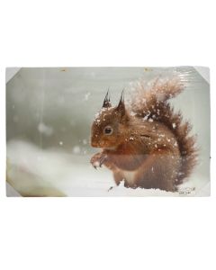 Pikture me ndricim, 40x60 cm,