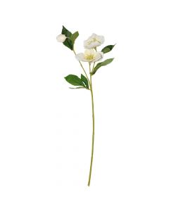 Artificial flower, plastic, white/green, H56 cm