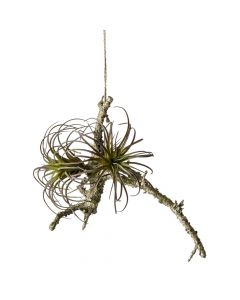 Artificial flower, TILLANDSIA, plastic, green, 25 cm