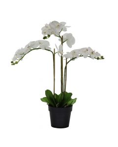 Artificial flower, in pot, Orchid, plastic, white, 99 cm