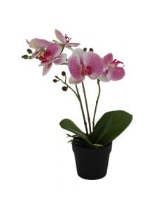 Artificial flower, in pot, Orchid, plastic, pink, 48 cm