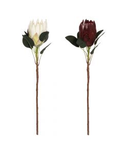 Artificial flower, Protea, plastic, assorted, 72 cm