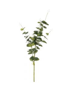 Artificial flower, Eucalyptus, metal/polyethylene/polyester, green, 30x9.5xH90 cm
