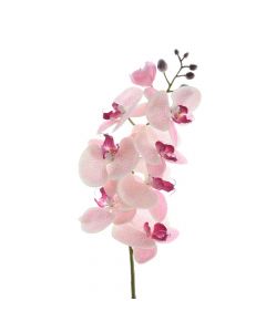 Lule artificiale, orkide, plastike, rozë, 18x8xH77 cm