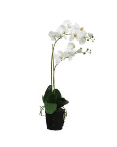 Lule artificiale, orkide, në vazo, plastike, e bardhë, 16x10xH62 cm