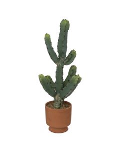 Lule artificiale në vazo, Cactus, polietilen/terrakotë, të ndryshme, 19xH49 cm