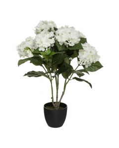 Lule artificiale, Hydranagea, në vazo, polietilen/çimento/poliester, bardhë, 54x54xH61 cm