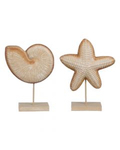 Decorative object, Shell, wooden, natural, 17x6x24 cm