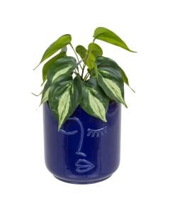 Bimë artificiale, Soleya, plastike/qeramike, jeshile/blu, Ø16.5xH30 cm