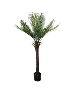 Pemë artificiale,  Palmë, në vazo, plastike, jeshile/ e zezë, 150 cm