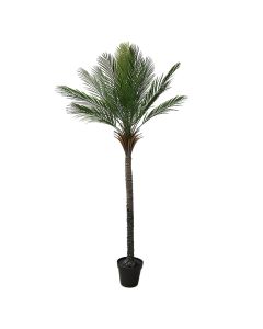 Artificial tree,  Palm , in pot, plastic, green/ black, 210 cm