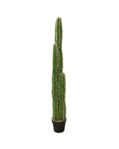Artificial flower,  Pentagon Cereus, in pot, plastic, green/ black, 140 cm
