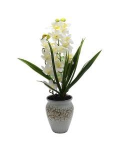 Lule artificiale, Orkide, plastike, shumëngjyrëshe, Dia.12xH64 cm