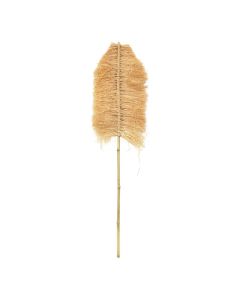 Artificial flower, dried, natural, 32x51xH100 cm