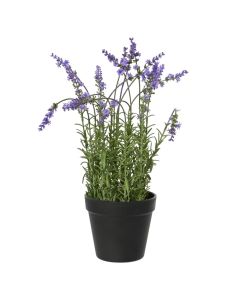 Artificial flower in pot, pvc, green/purple, Dia.22xH37 cm
