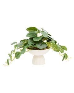 Lule dekoruese me vazo, Nippo pilea, çimento, e bardhë, 60x30xH29 cm