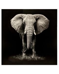 Kanavacë e printuar, Elefant, poliestër/mdf, e zezë, 100x3.5xH100 cm