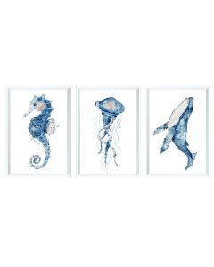Pikturë me kornizë, Sea Life, 3 copë, druri/letër, e bardhë/blu, 32.5xH47.5 cm