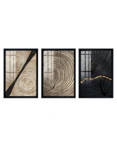 Pikturë me kornizë, Tree Section, 3 copë, druri/letër, e zezë/kafe, 32.5xH47.5 cm