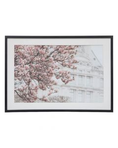 Kanavacë e printuar, Flower Esme, xham/mdf, shumëngjyrësh, 50x70 cm