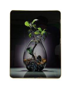 Pikturë në kornizë, "Plant", shumëngjyrëshe, 30x40 cm