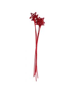 Natural dried flowers, red, 50 cm