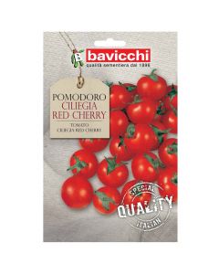 Tomato Ciliegia red chery