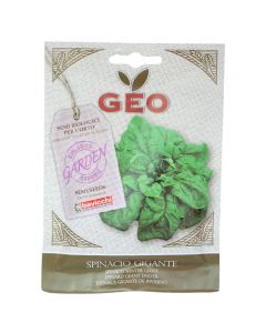 Vegetable seeds, spinach  winter giant
