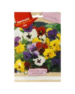 Farë lule, viola tricolor hortensis
