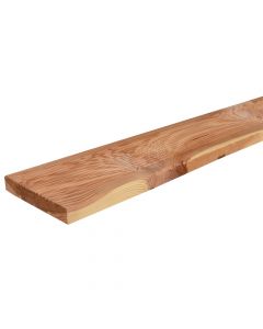 Dysheme druri e trajtuar, larice, cilesia e dyte, 2x12x500 cm