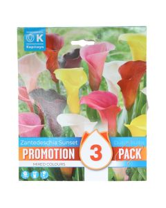 Bulba, freesia double mixed, 15 copë/pako