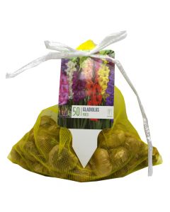 Bulba, çantë peizazhi, gladiolë me ngjyra të përziera me etiketë plot ngjyra, 50 copë/pako