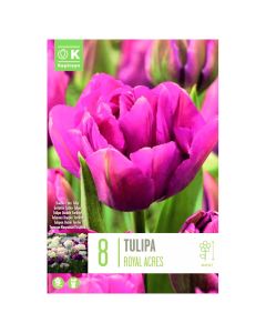 Bulbs, tulip double  royal acres