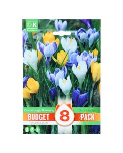 Bulbs, promotion budget pack, crocus large flowering mixed colours, 8 pc/pack