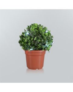 Ø15cm GRASS BALL LIGHT, WITH 10L WHITE LED LIGHT CHAIN, B/O, WITH PLASTIC CASK