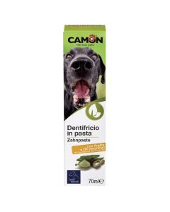 Toothpaste for dogs, Camon, 70 ml