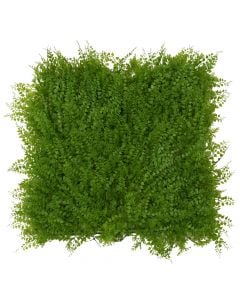 Gardh me gjethe artificiale, PVC, 50x50 cm, jeshile  e hapur