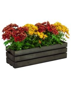 Wooden pots, Flower box BOX 60, 61x19xH17 cm, wood, anthracite color
