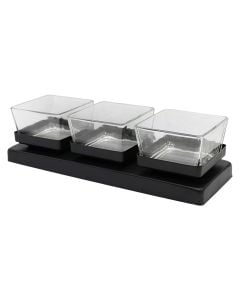 Spices holder set, glass, transparent/black, 29.5x4 cm