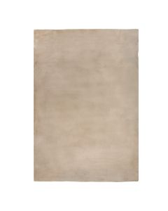 Soft Touch carpet, 100% polyester, light brown, 160x230 cm