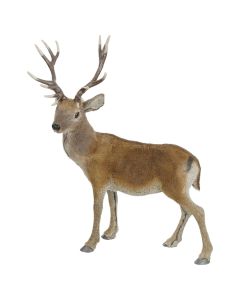 Decorative deer, natural color, l63xw34xh75cm