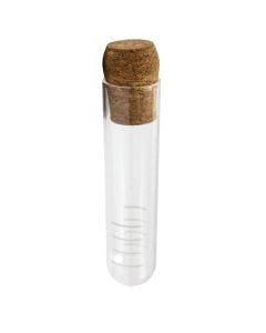Spice holder, glass, transparent, Dia. 3 x H 15 cm